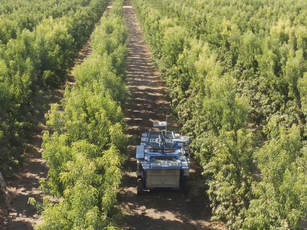  The Future of Harvesting_ Fruit-Picking Flying Autonomous Robots™ by Tevel _ HMC Farms Testimonial 2-11 screenshot.png 