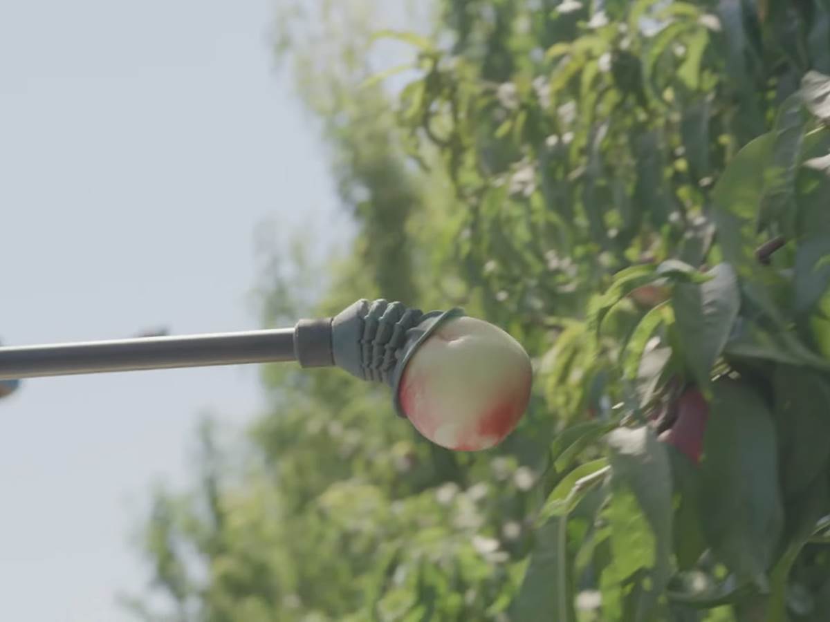 The Future of Harvesting_ Fruit-Picking Flying Autonomous Robots™ by Tevel _ HMC Farms Testimonial 2-15 screenshot.png - YouTube / Tevel Aerobotics Technology   The Future of Harvesting_ Fruit-Picking Flying Autonomous Robots™ by Tevel _ HMC Farms Testimonial 2-15 screenshot.png - YouTube / Tevel Aerobotics Technology