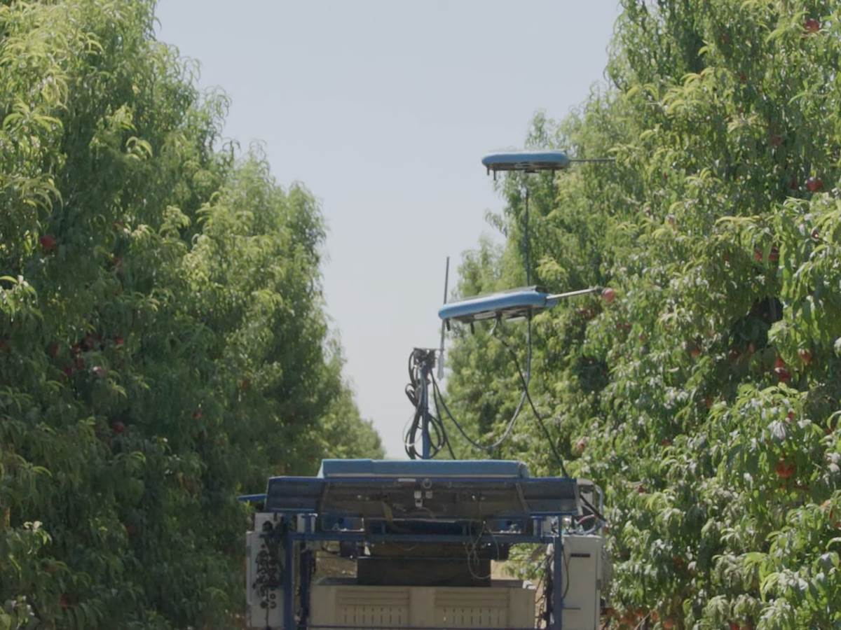  The Future of Harvesting_ Fruit-Picking Flying Autonomous Robots™ by Tevel _ HMC Farms Testimonial 2-24 screenshot.png - YouTube / Tevel Aerobotics Technology 