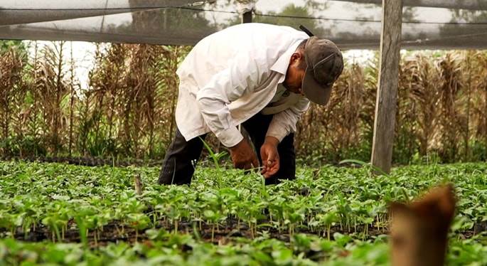 mamami intensive work.jpg - Huawei   mamami intensive work.jpg - Huawei