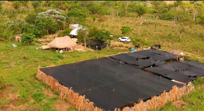  drone view small coffee farm.jpeg - Huawei 