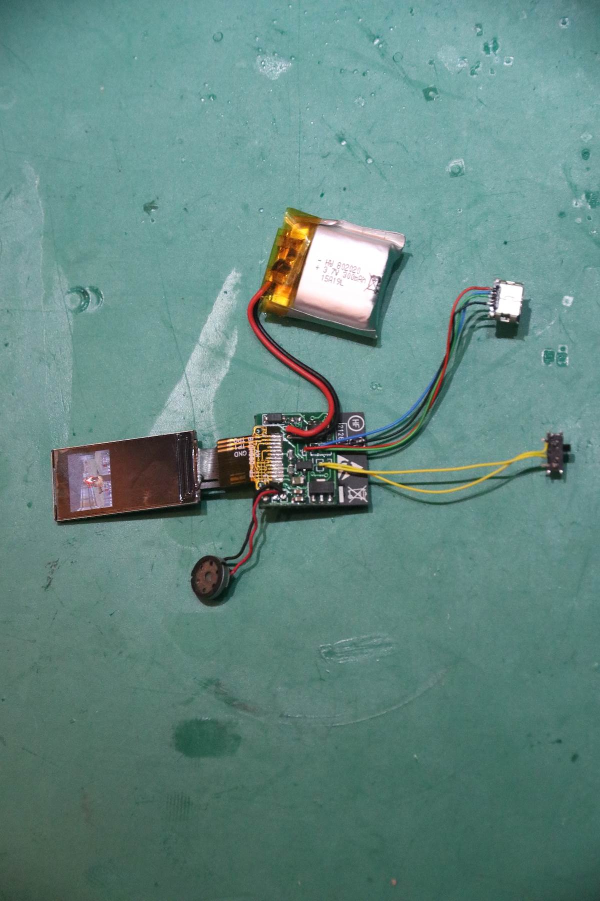 IMG_4387.jpg - Jeroen Domburg   IMG_4387.jpg - Jeroen Domburg