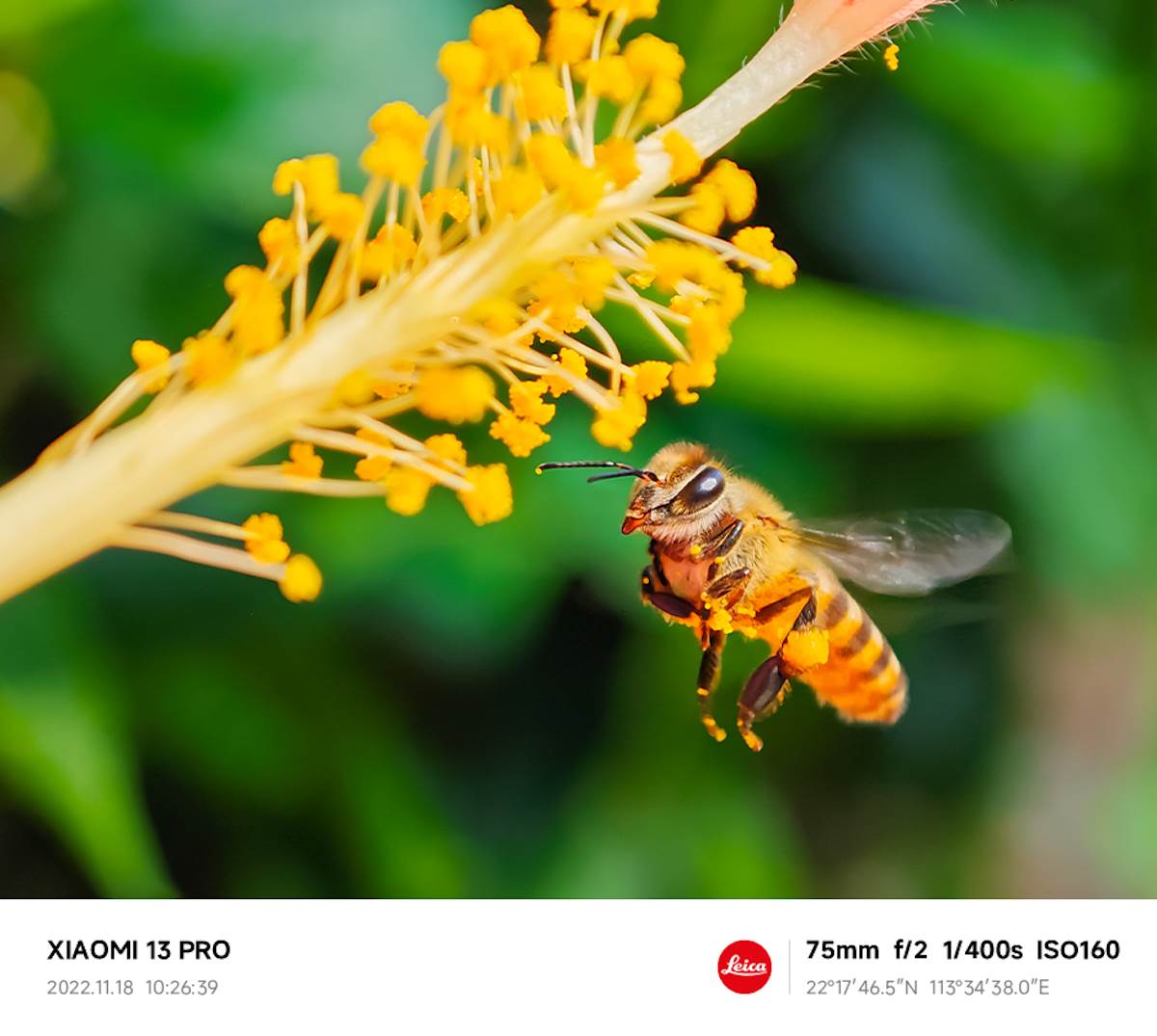  Xiaomi 13 Pro kamera 5.png 