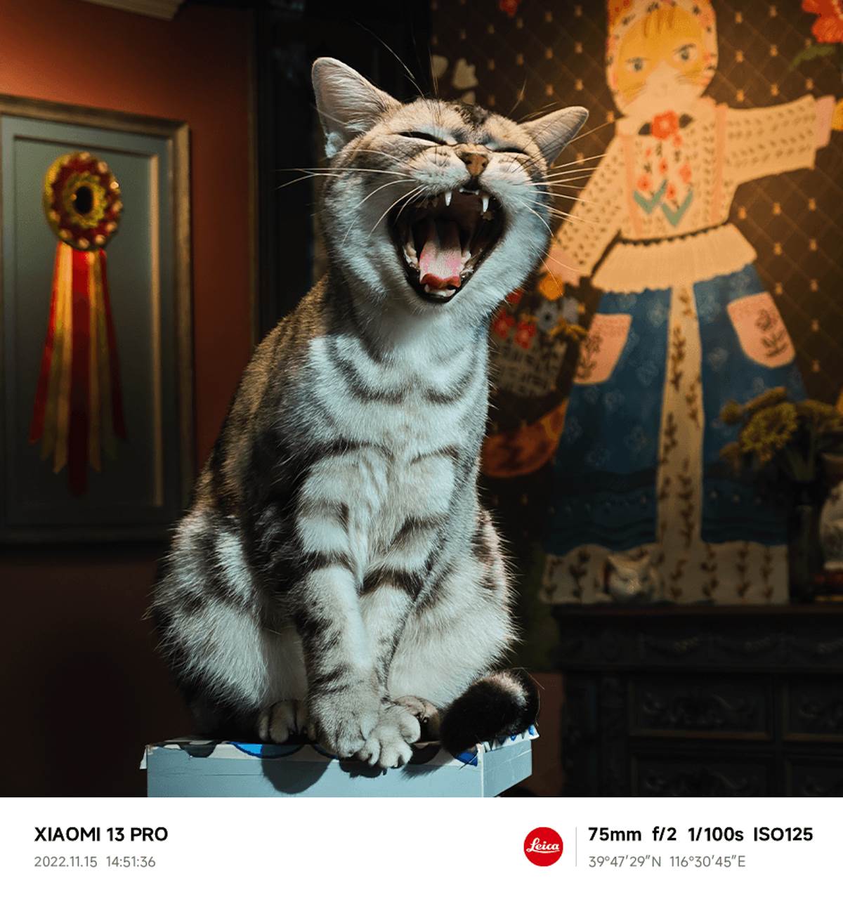  Xiaomi 13 Pro kamera 7.png - Xiaomi 