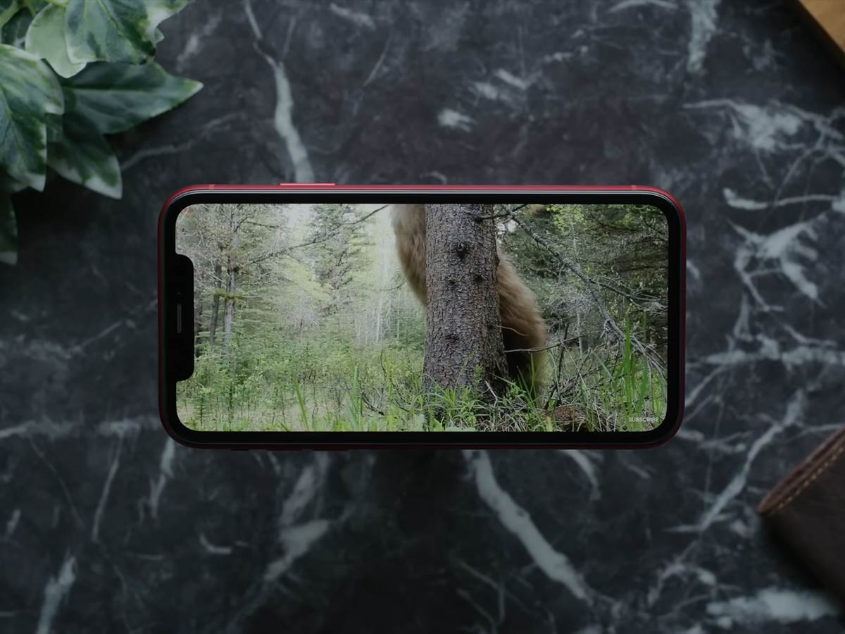 iPhone XR Review_ No Need to Panic! 6-35 screenshot.png - YouTube / Marques Brownlee / 91Tech   iPhone XR Review_ No Need to Panic! 6-35 screenshot.png - YouTube / Marques Brownlee / 91Tech