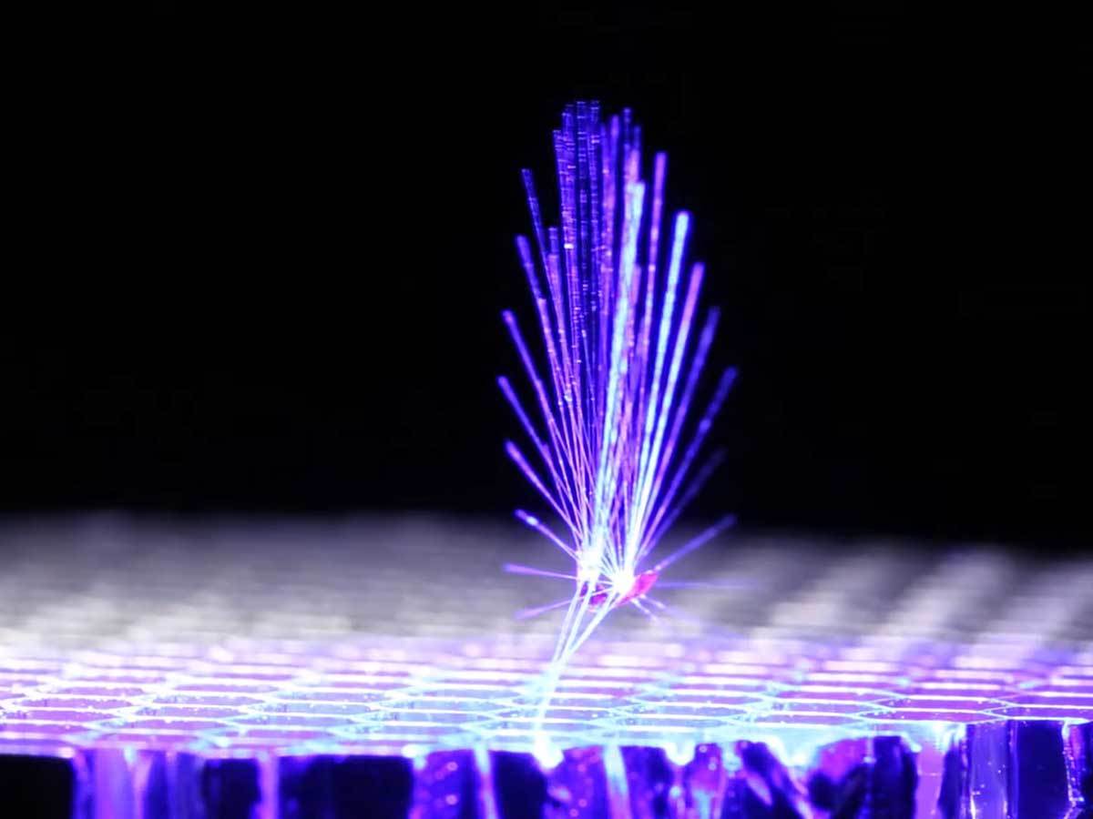  Vila leteći robot 1.jpg - YouTube / eeDesignit 