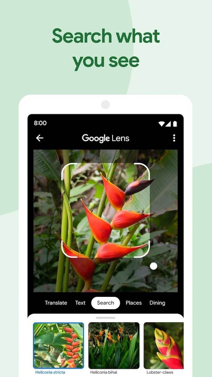 Google Photos 2.jpeg   Google Photos 2.jpeg