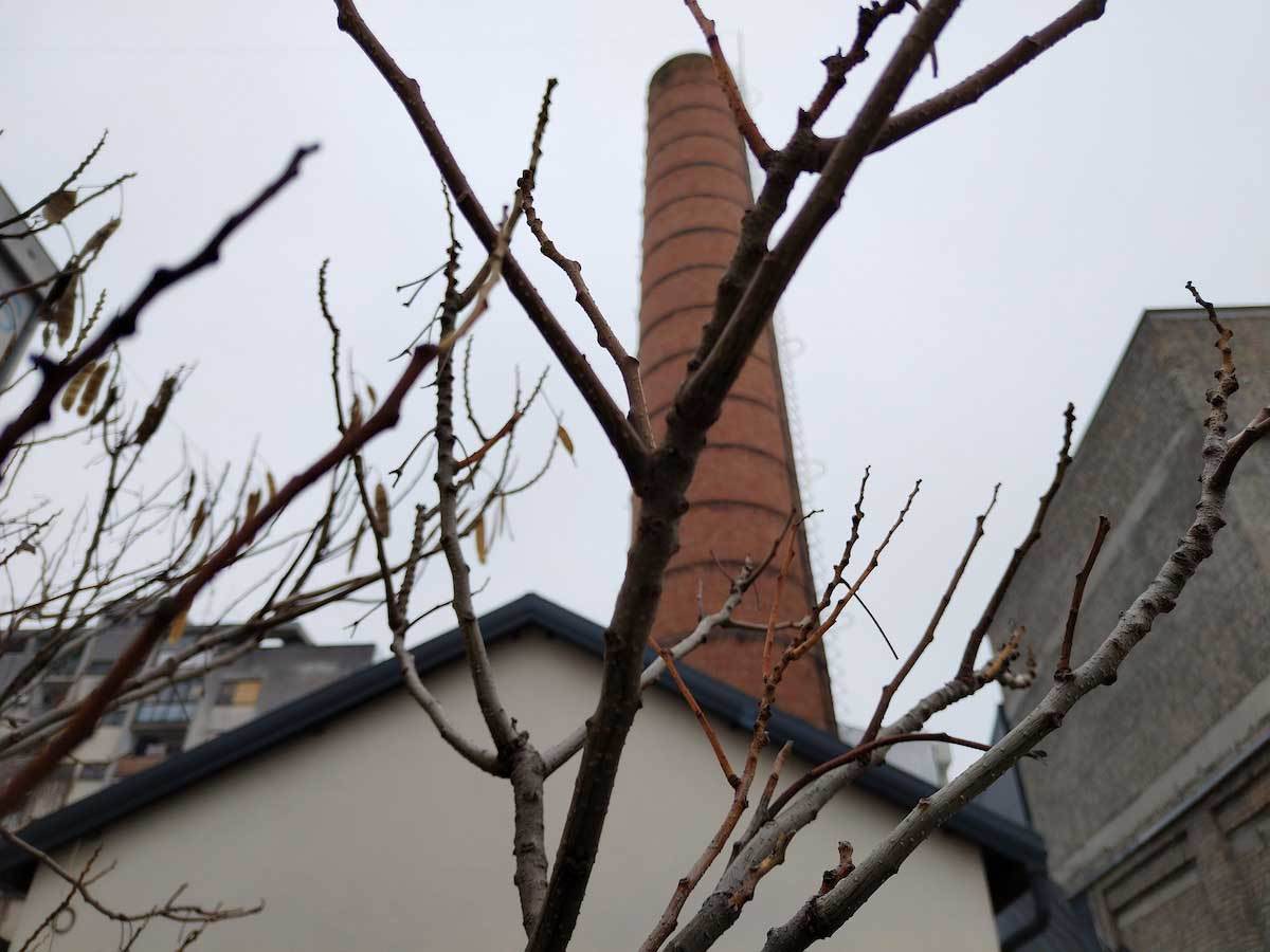  Magic5 Lite kamera dan 5.jpg - SmartLife / Ilija Baošić 