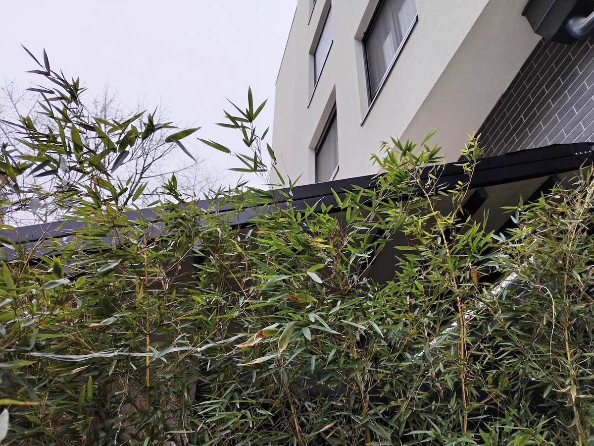  Magic5 Lite kamera dan 6.jpg 