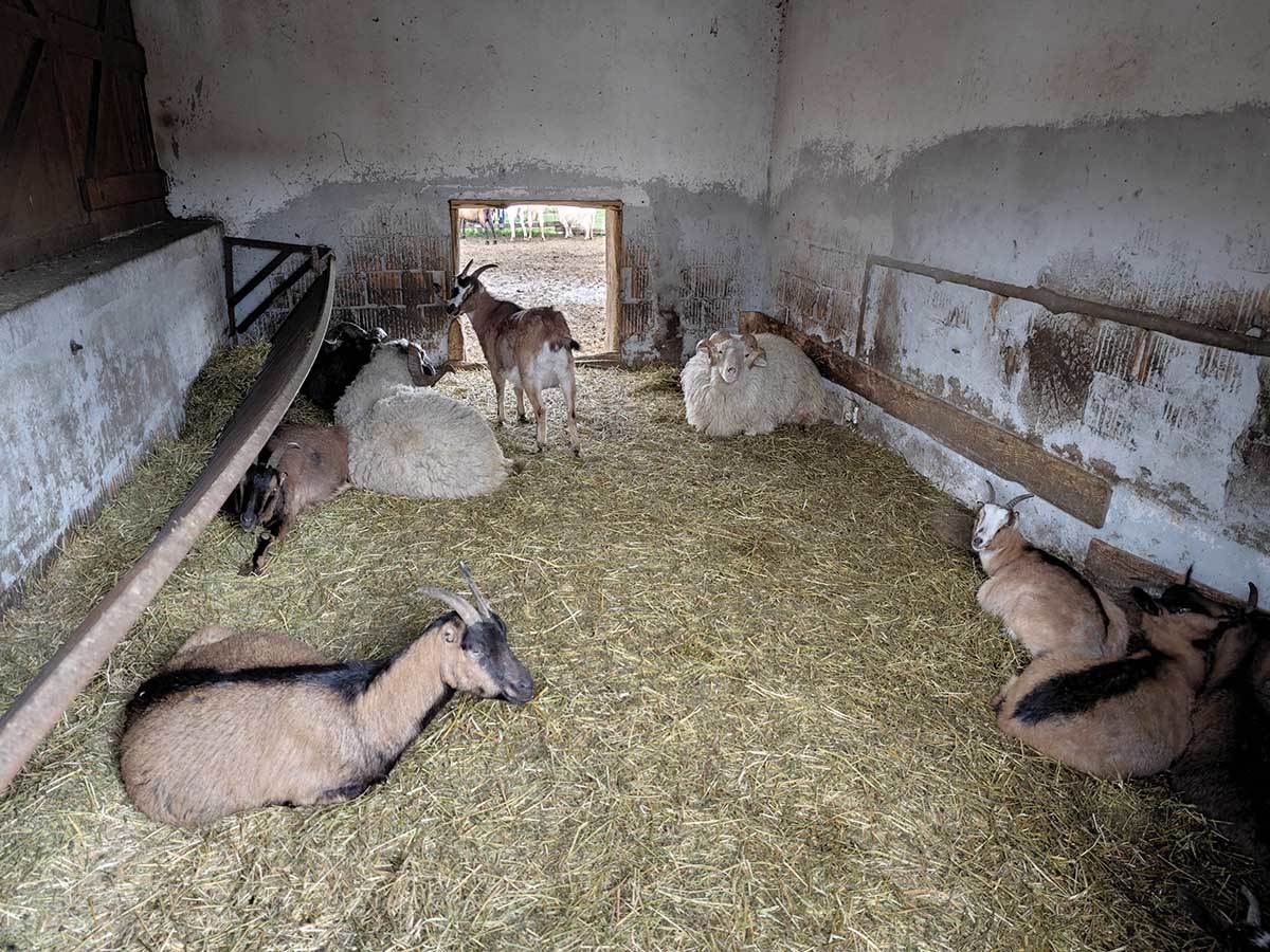  Xiaomi 13 Pro slike 3.jpg 