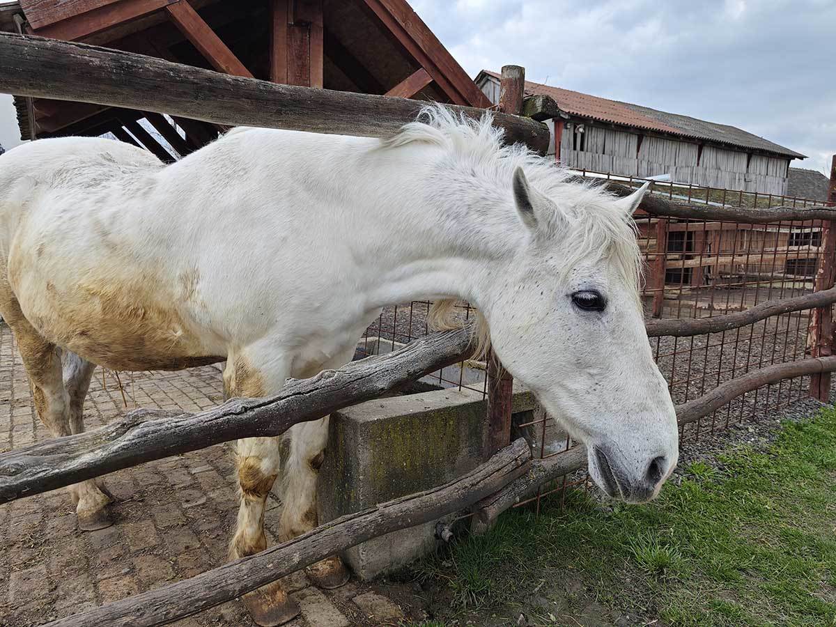   - SmartLife / Ilija Baošić 