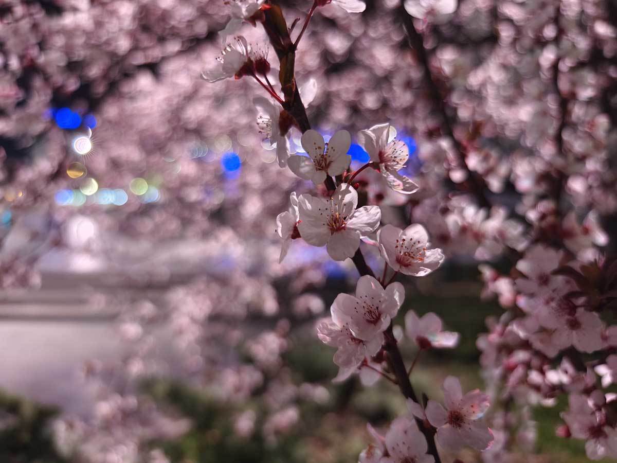  vivo X90 Pro kamera noć 2.jpg - SmartLife / Ilija Baošić 