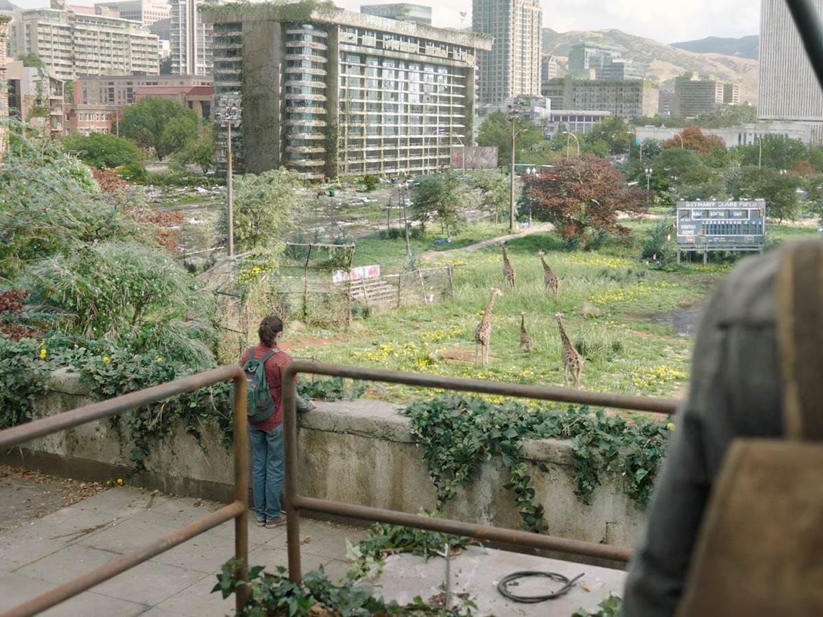 The Last of Us svet 13.png - HBO   The Last of Us svet 13.png - HBO