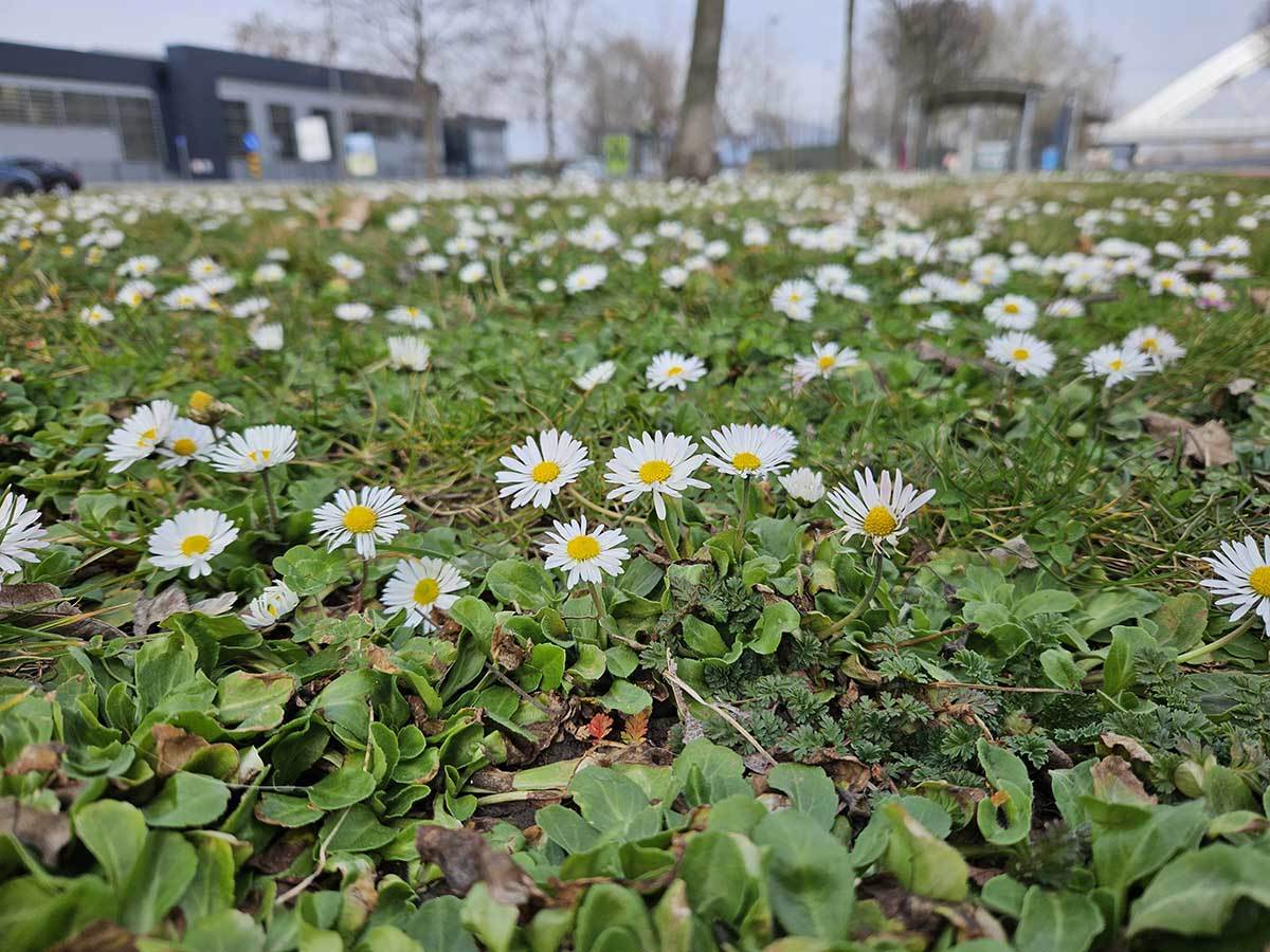  Samsung Galaxy S23 Plus kamere dan 7.jpg 