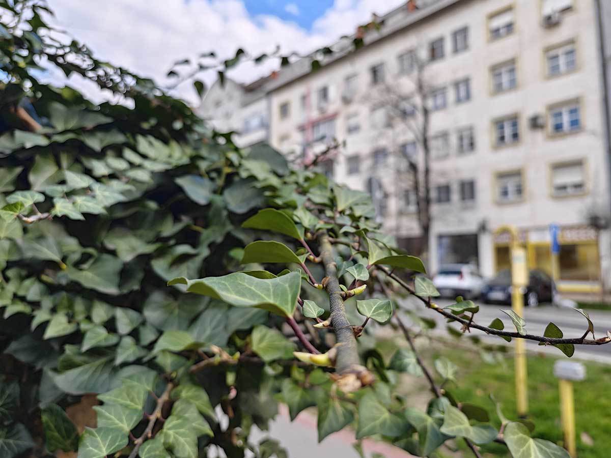  Xiaomi 13 Pro kamere dan 3.jpg - SmartLife / Ilija Baošić 