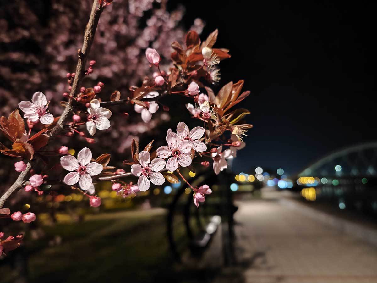  Xiaomi 13 Pro kamere noć 8.jpg - SmartLife / Ilija Baošić 