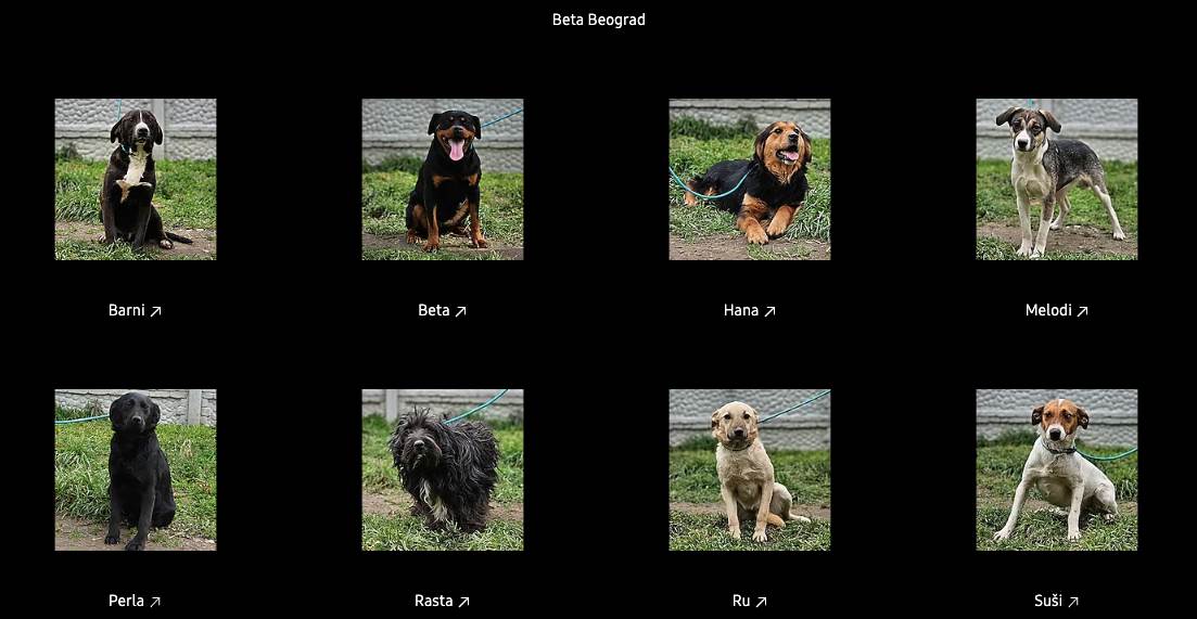  Screenshot 2023-04-04 at 18.50.13.jpg - Samsung 