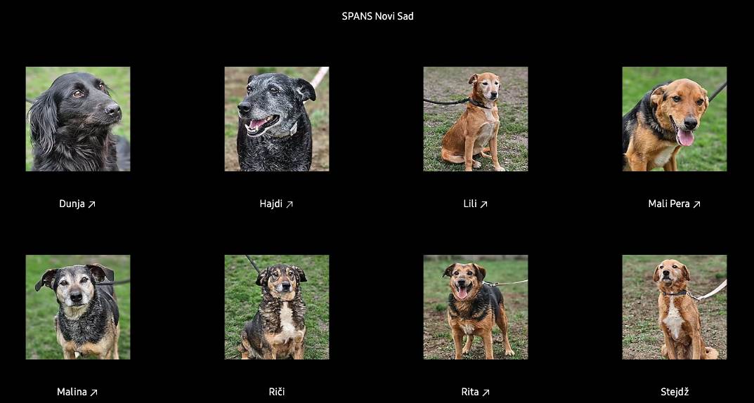  Screenshot 2023-04-04 at 18.50.28.png - Samsung 