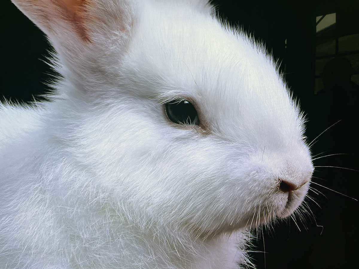  Samsung Neo QLED i OLED 8.JPG - Smartlife 