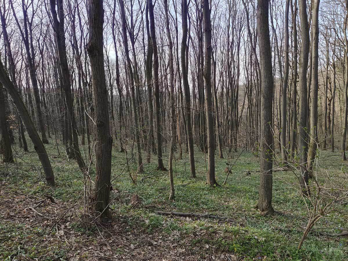  Realme GT3 dnevne slike 7.jpg - SmartLife / Ilija Baošić 