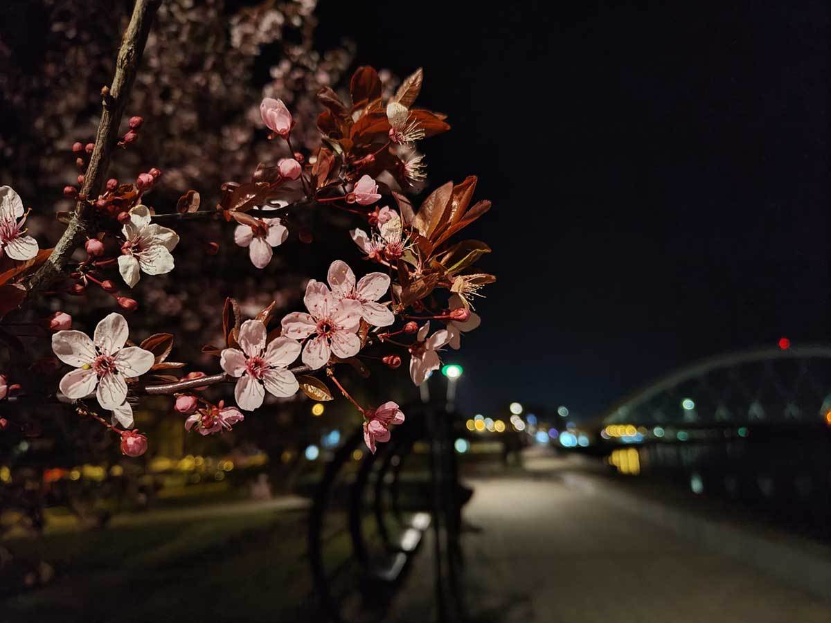  Realme GT3 noćne slike 6.jpg 