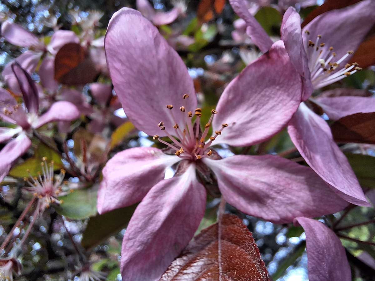  Samsung Galaxy A54 slike danju 9.jpg - SmartLife / Ilija Baošić 