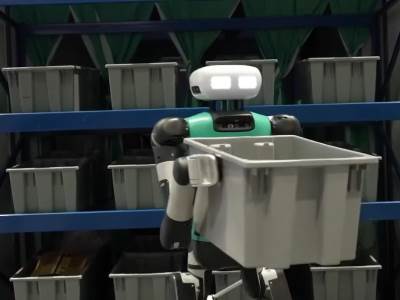 Amazon, robot Diigit  Amazon, robot Diigit