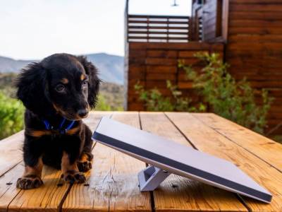 Starlink Mini _ Foto Starlink (3).jpg  Starlink Mini _ Foto Starlink (3).jpg