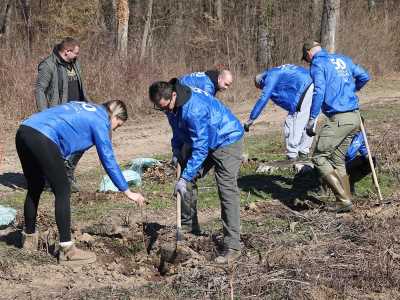 Zasadi drvo akcija u Bojčinskoj šumi 
