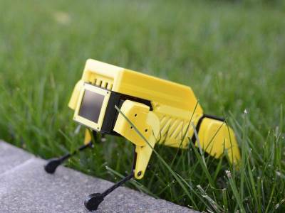 Mini Pupper robot pas 