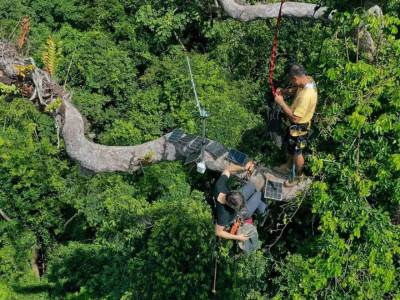 Huawei telefoni kišne šume zaštita od seče šuma 1.jpg  Huawei telefoni kišne šume zaštita od seče šuma 1.jpg