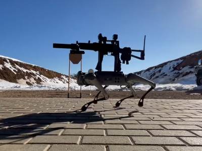 Rus napravio robotskog psa ubicu  Rus napravio robotskog psa ubicu