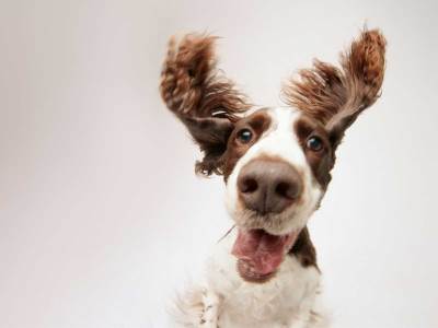 A1 nove NEO23 postpejd tarife 2023  A1 nove NEO23 postpejd tarife 2023